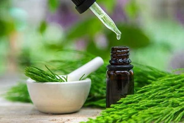 تصویر 3 از خرید اسانس گیاه دم اسب + بهترین قیمت
